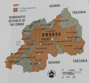 Régions cultivatrices de café vert au Rwanda